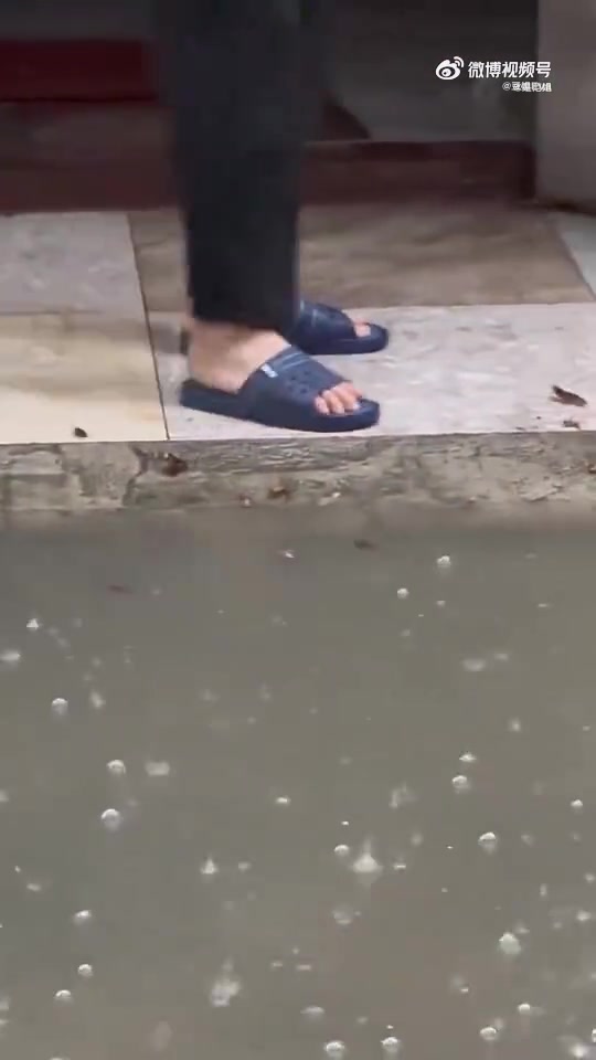 下水道里的蟑螂都跑出来了！！
