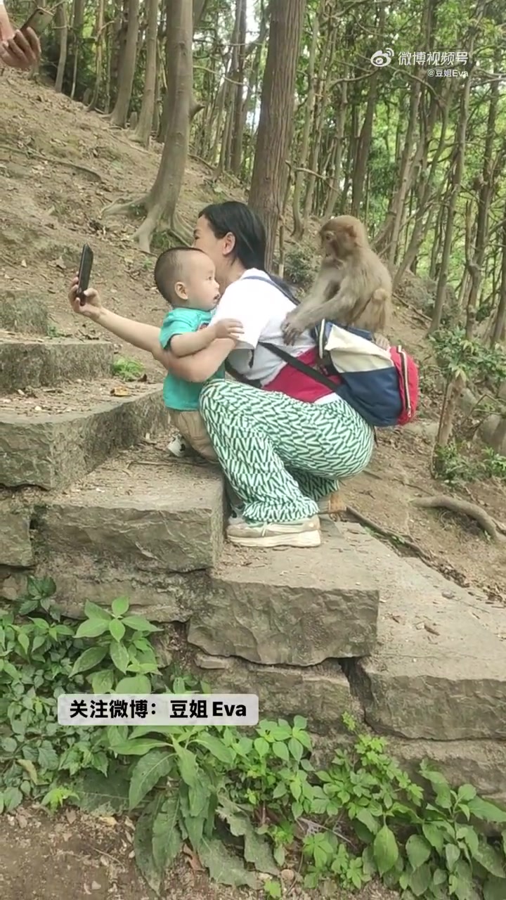 女子带娃逛公园，一不小心被猴子抓了小孩的头