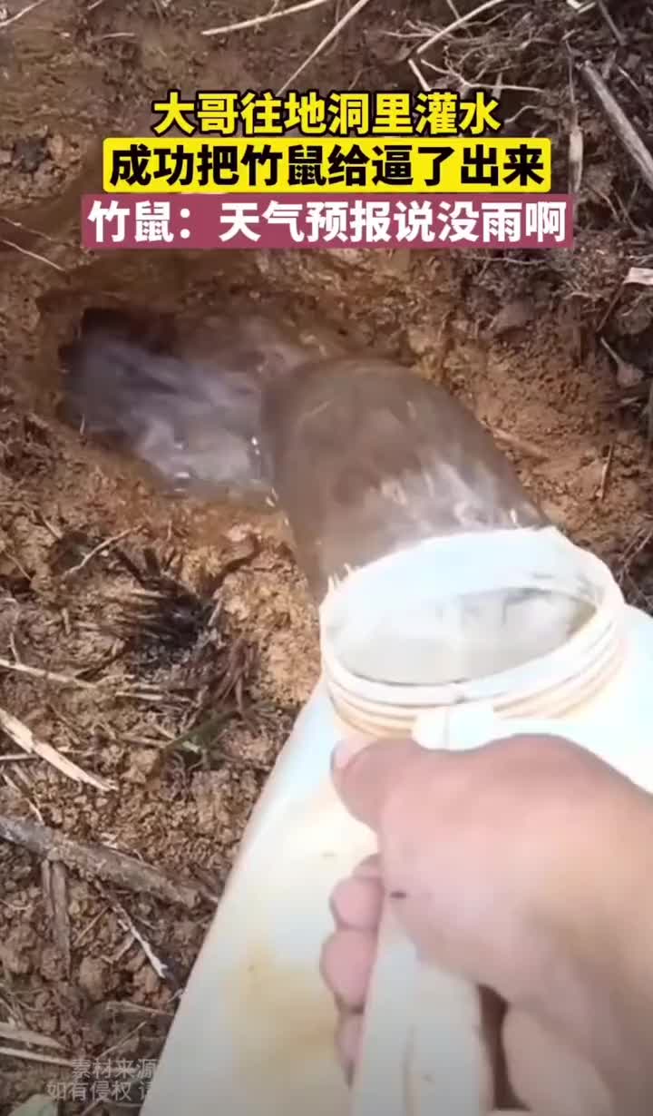 天气预报也没说有大雨啊