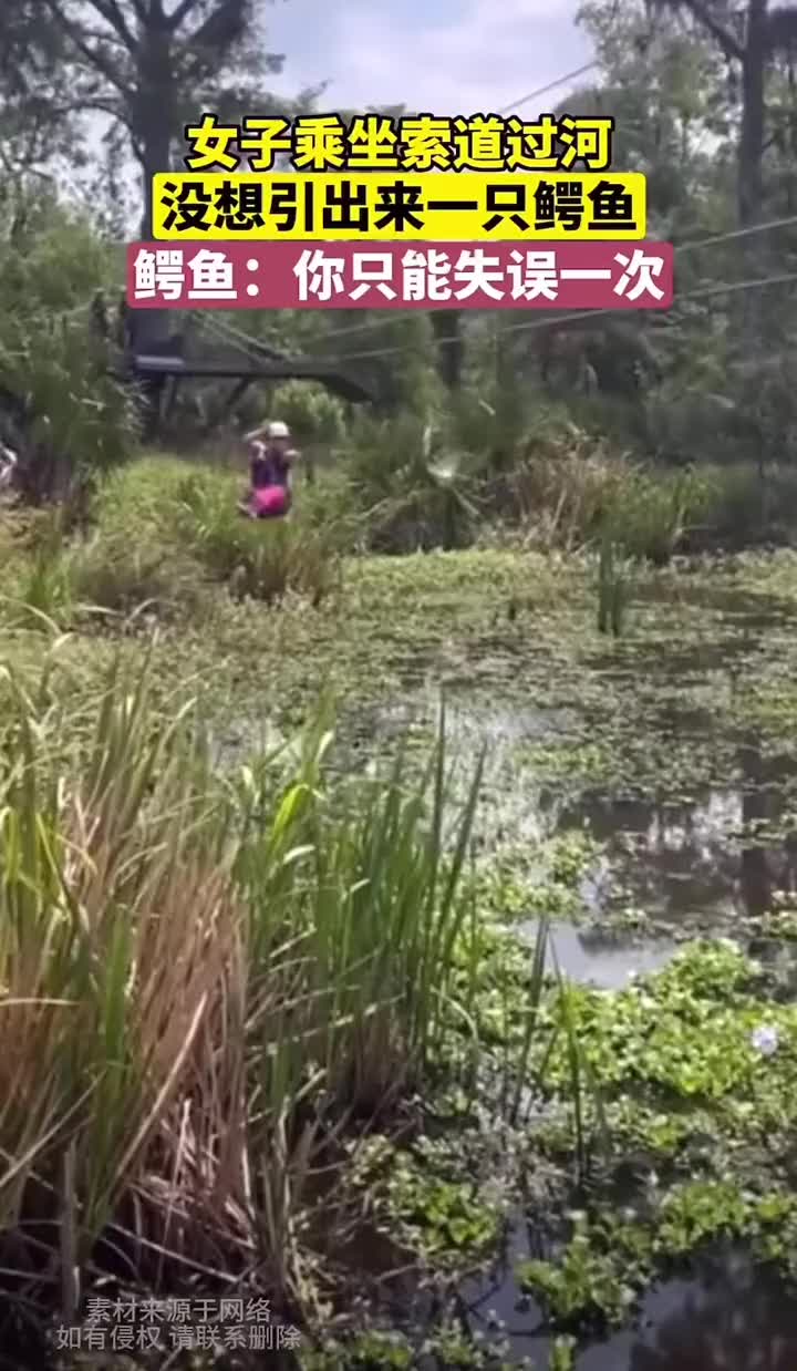 女子乘索道过河，没想到引出来一只鳄鱼