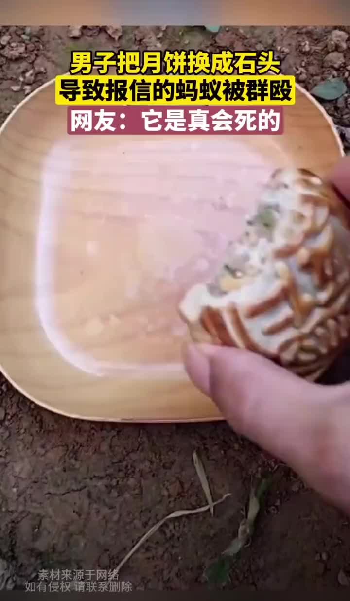 你是不是带错路了这没有吃的啊