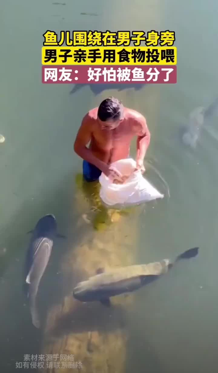 在水里给鱼亲手投喂饲料，好怕一口咬到手