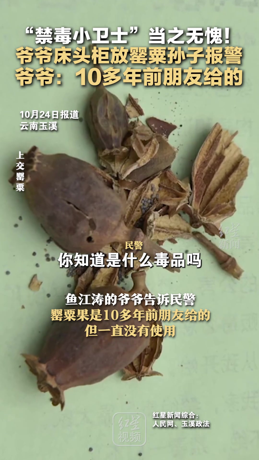 “禁毒小卫士”当之无愧！爷爷床头柜放罂粟孙子报警