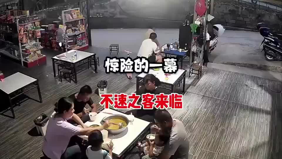 吃饭的时候突然出现这种动物！确实能吓坏所有人！