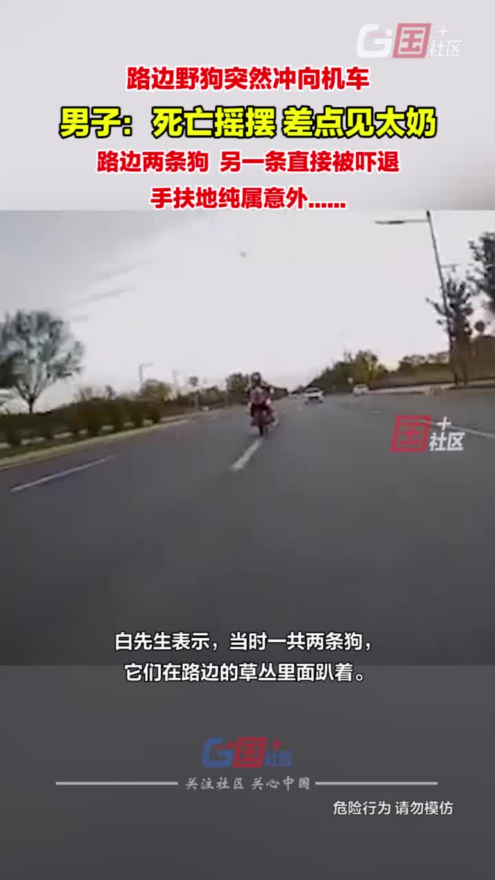路边野狗突然冲出，正常行驶的机车被吓坏：死亡摇摆！