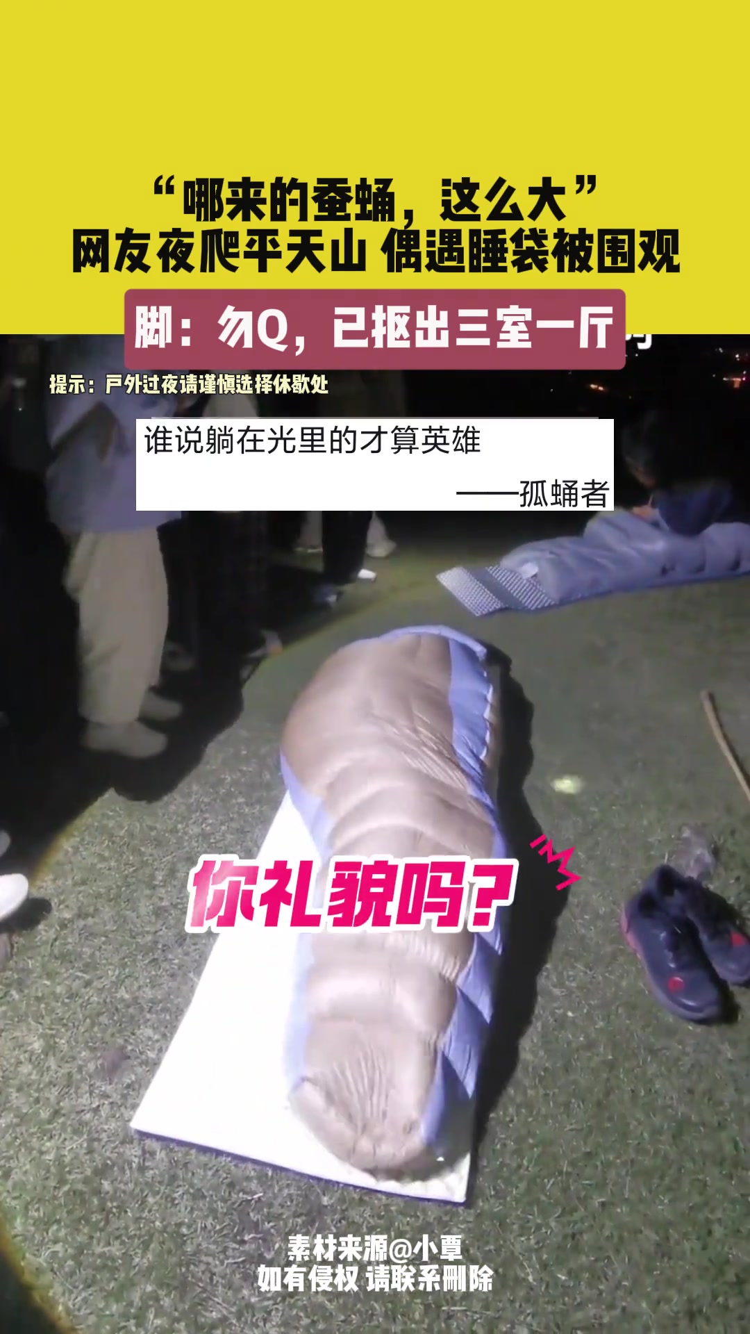 哪来的蚕蛹这么大
