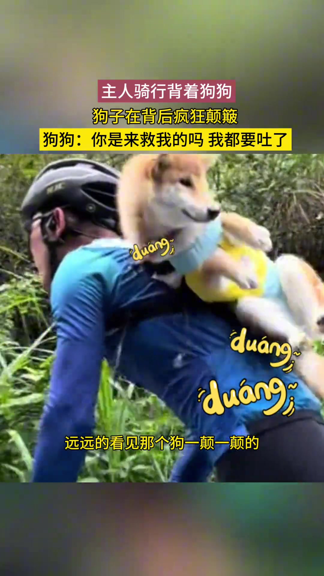 主人骑行背着狗狗，狗子在背后疯狂颠簸
