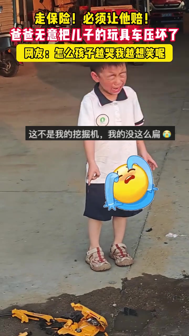 这不是我的玩具！我的玩具没那么扁！必须让爸爸全额理赔！