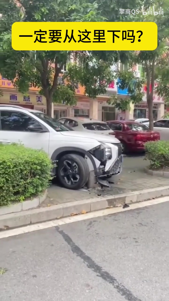 哥们，你这车一定要从这里下吗