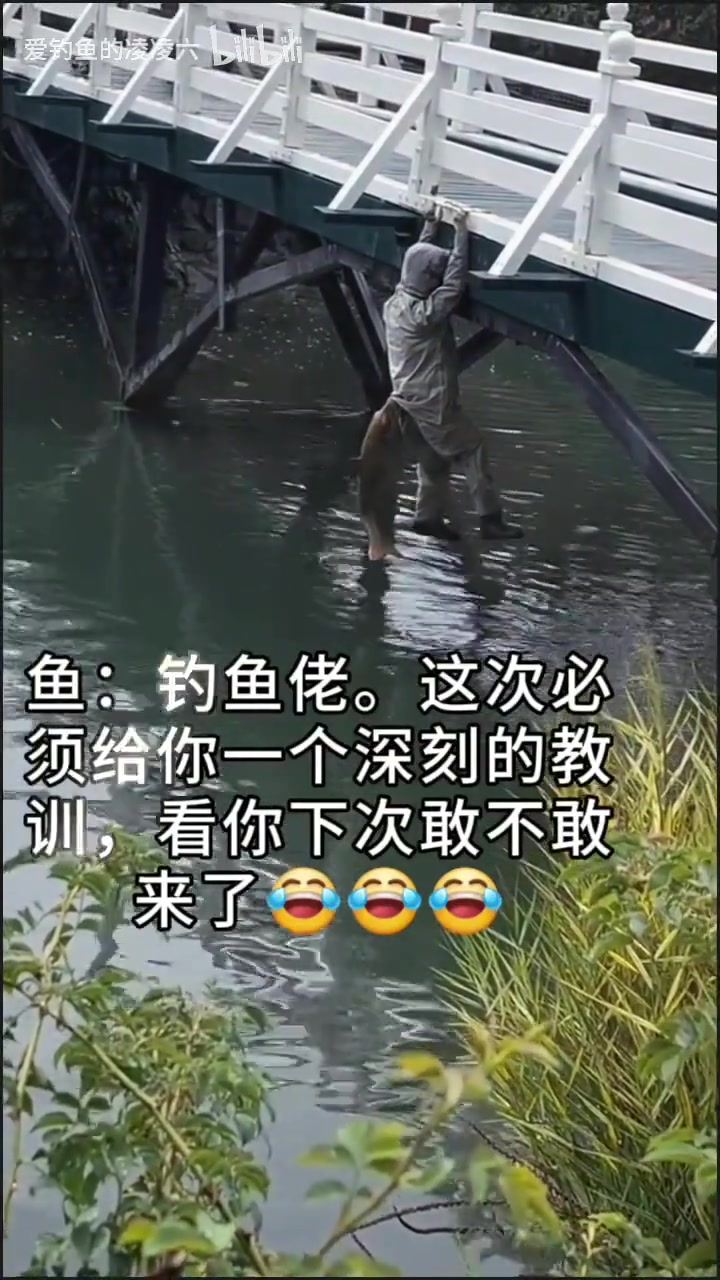 有人吗我被鱼咬了，快来救救我！！！