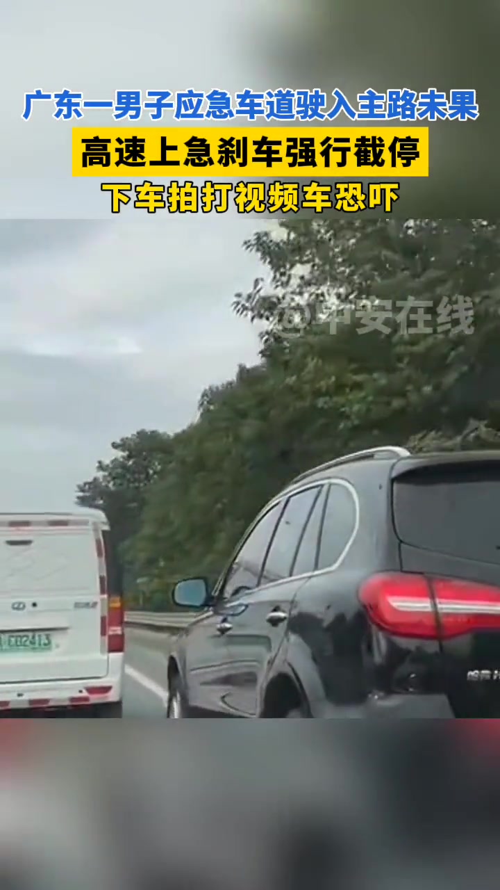 一男子应急车道驶入主道未果，高速上急刹车强行截停