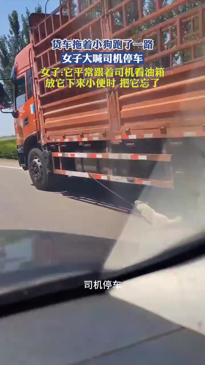 大车司机就这样开车拖着小狗一路，还好遇到了善良的路人