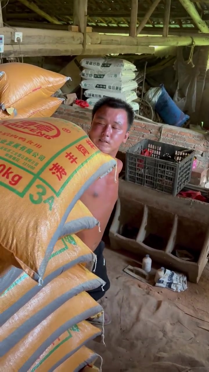 女儿记录下无臂父亲艰难扛饲料一幕！心酸！