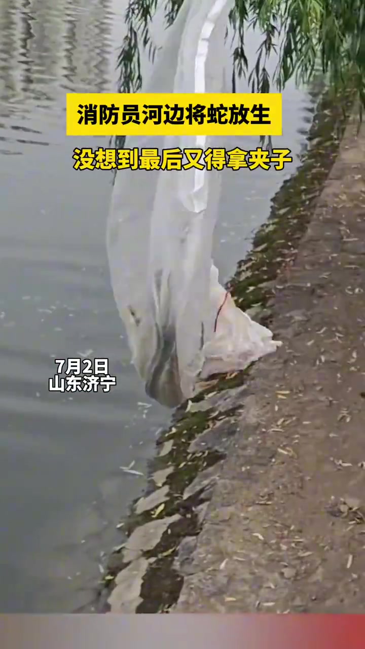 蛇：是在跟我开玩笑吗！！！！！！！