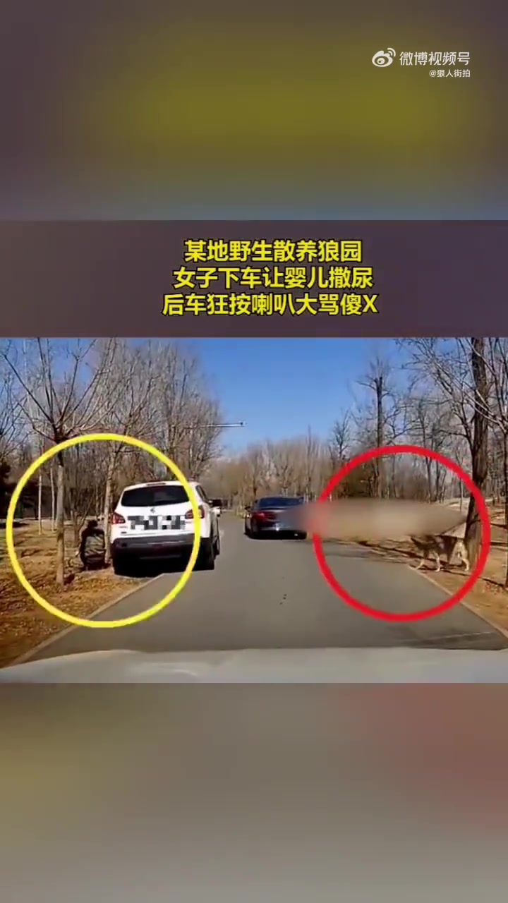 某地野生散养狼园，女子下车让婴儿撒尿，后车狂按喇叭大骂傻x！