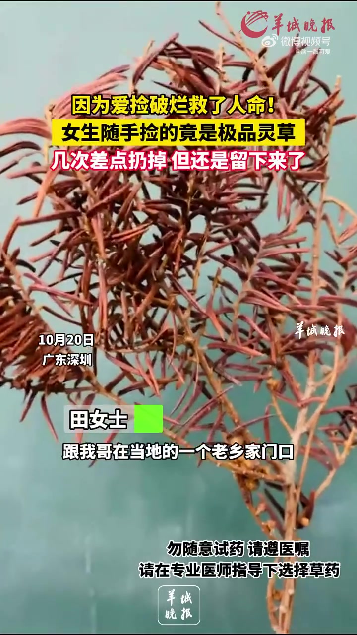 小说剧情因为爱捡破烂救了人命！女生随手捡的竟是极品灵草！