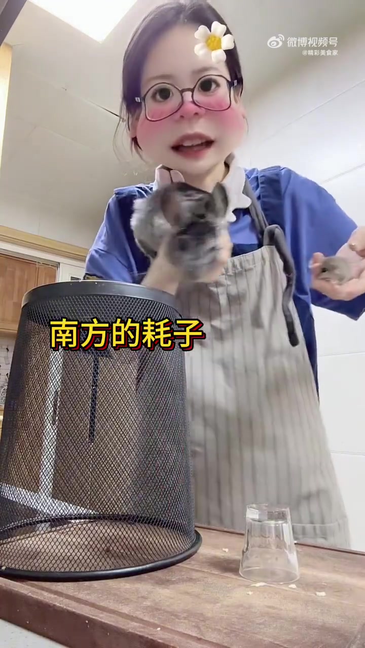 不是！我的名字里带一个猫啊！咋成老鼠了！