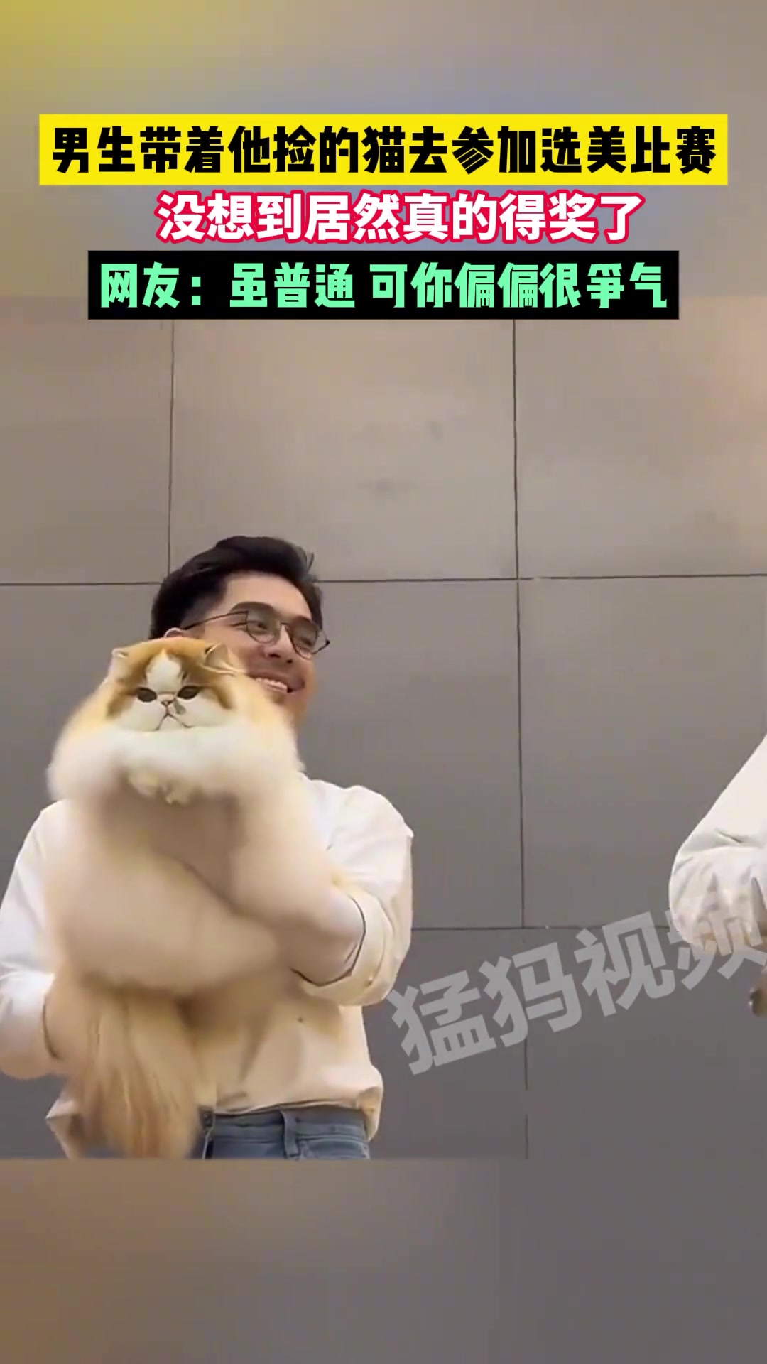 男生带着他捡的猫去参加选美比赛，没想到居然真的得奖了