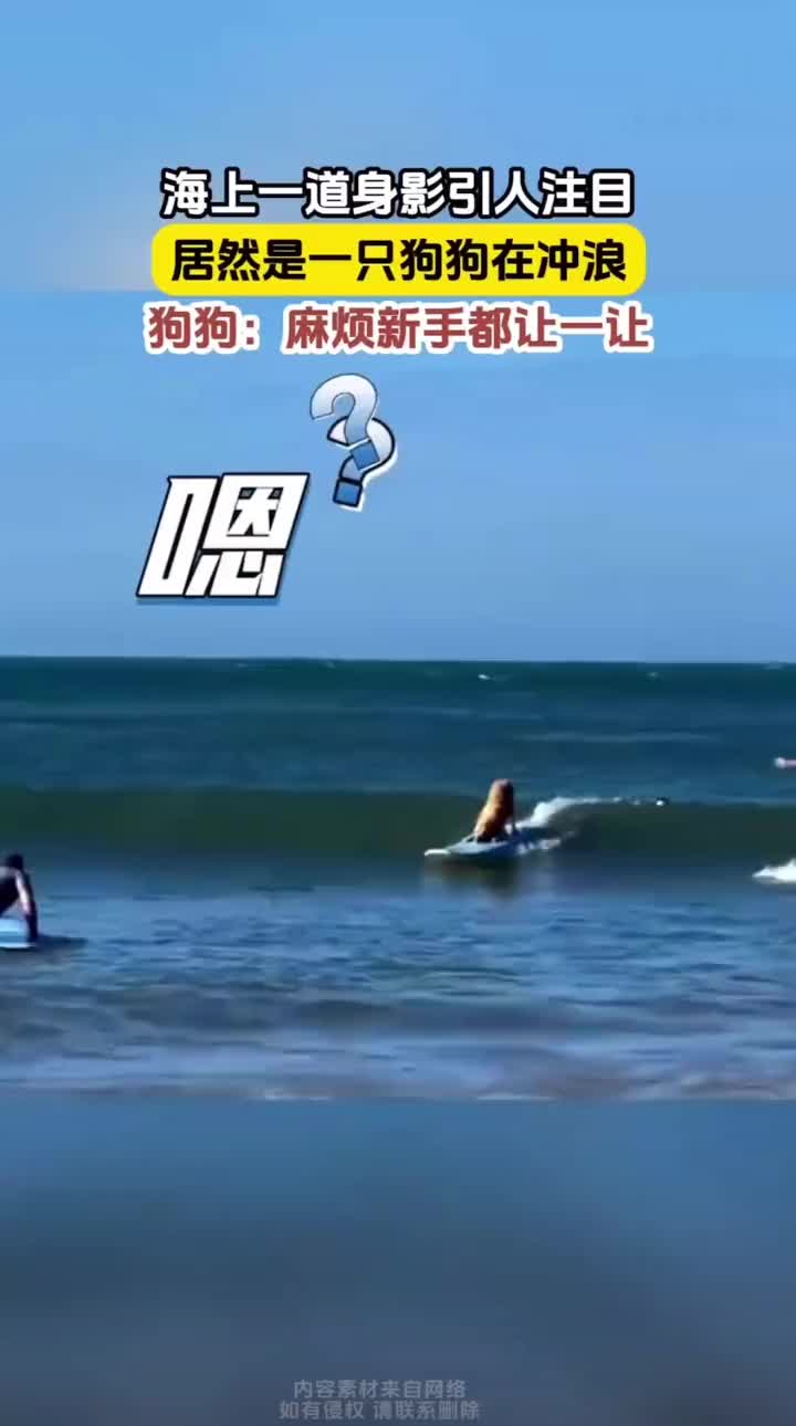 让一让让一让我要开始冲浪了