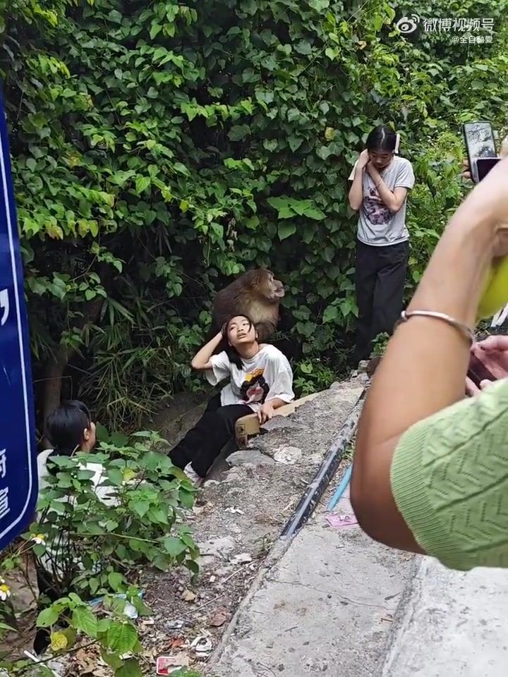 大野猴抓着一小姐姐头发不放！！难怪那么多人讨厌这种猴子！！