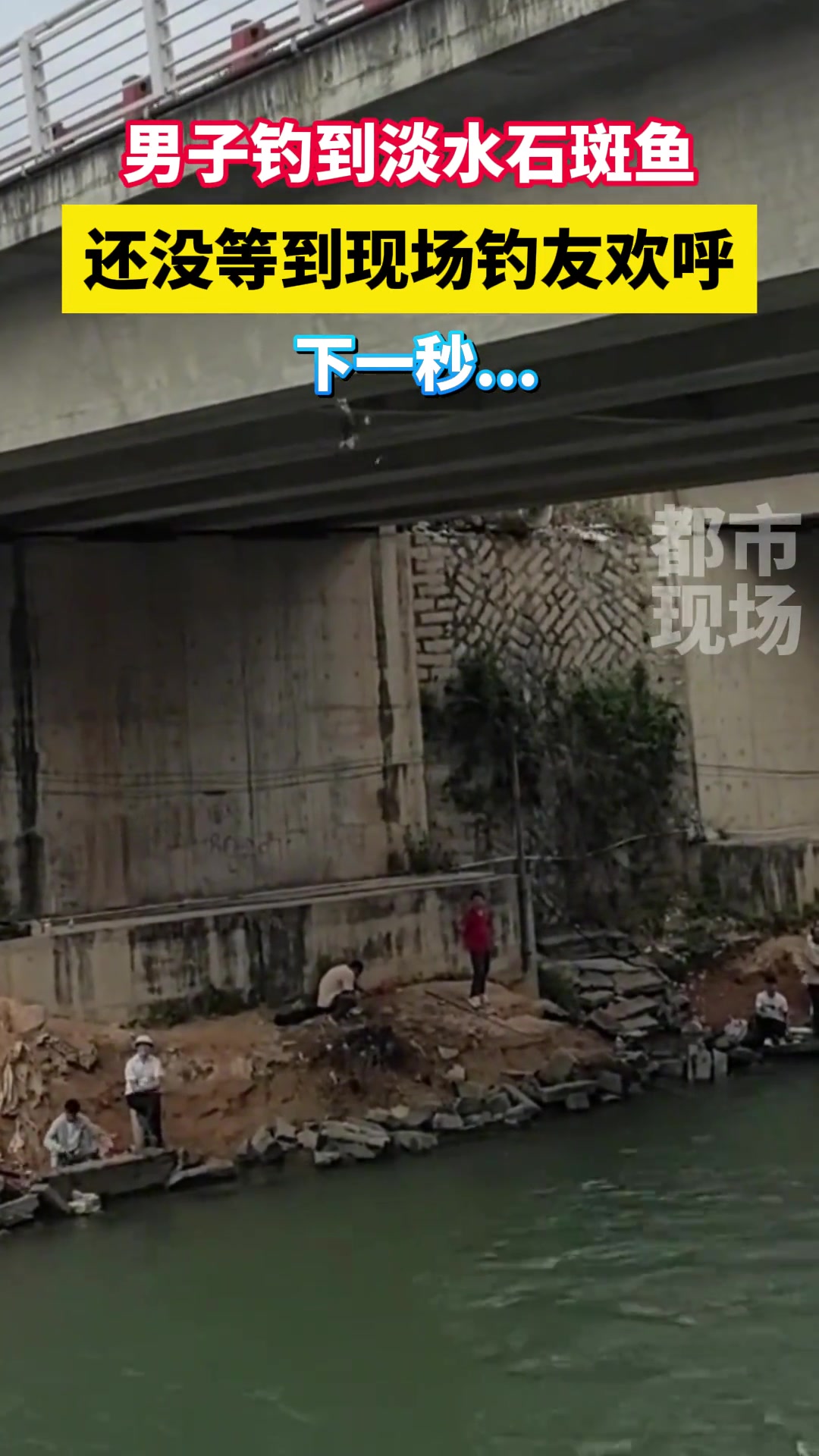 男子钓到淡水石斑鱼，还没等到现场钓友欢呼，鱼就跑了