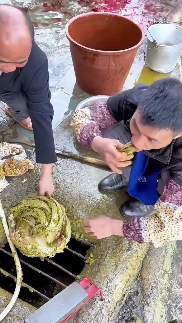 竟然真的有人生吃