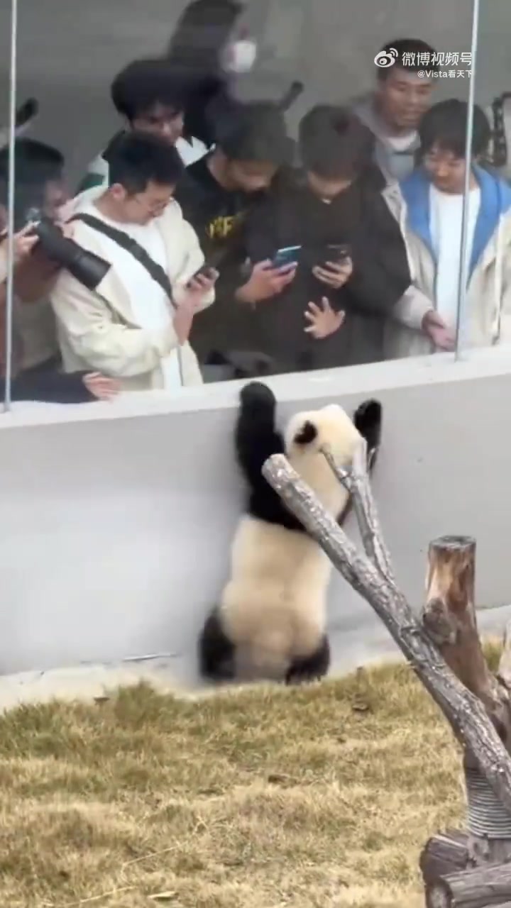 “不白来，都不白来吼！”