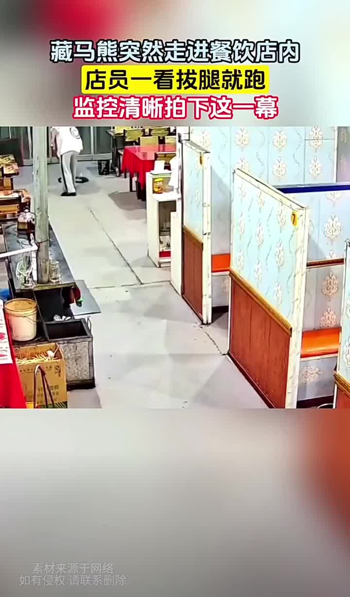 藏马熊突然进餐厅觅食，店员看到拔腿就跑