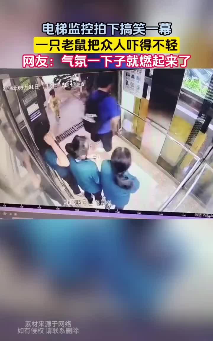 老鼠的一趟电梯之旅