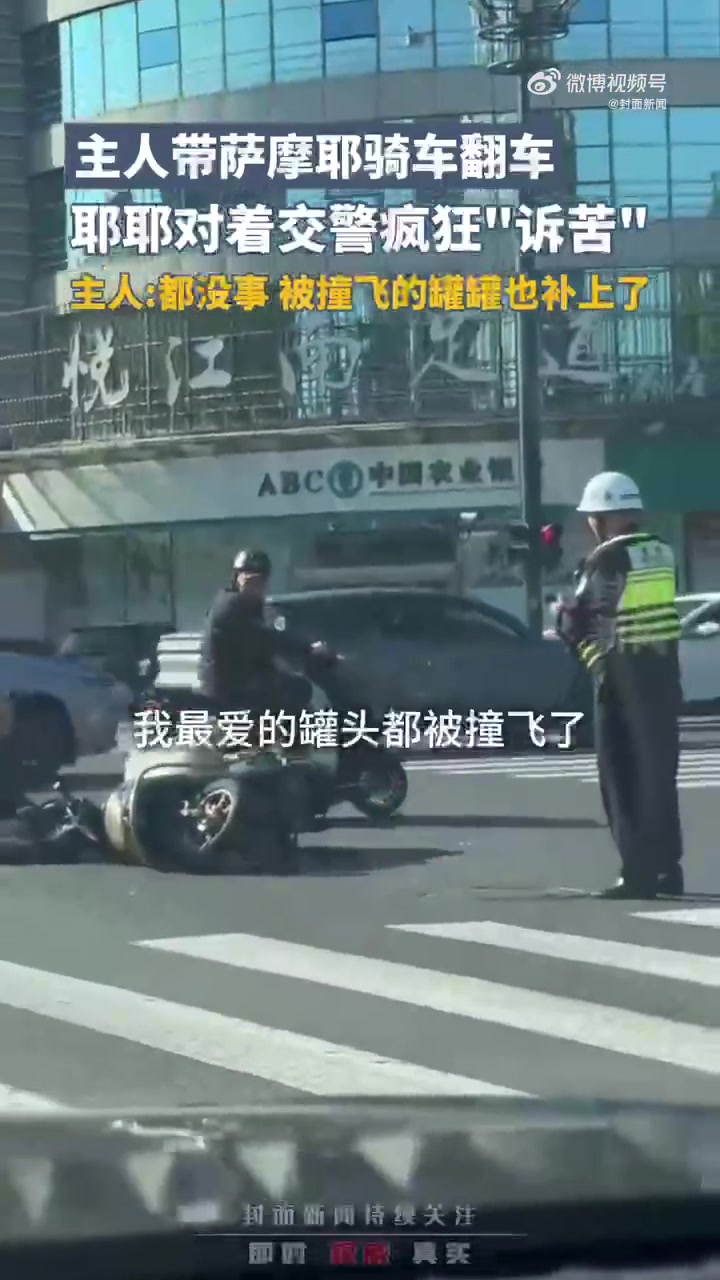 主人带狗子骑电动车翻车，狗子疯狂“吐槽”