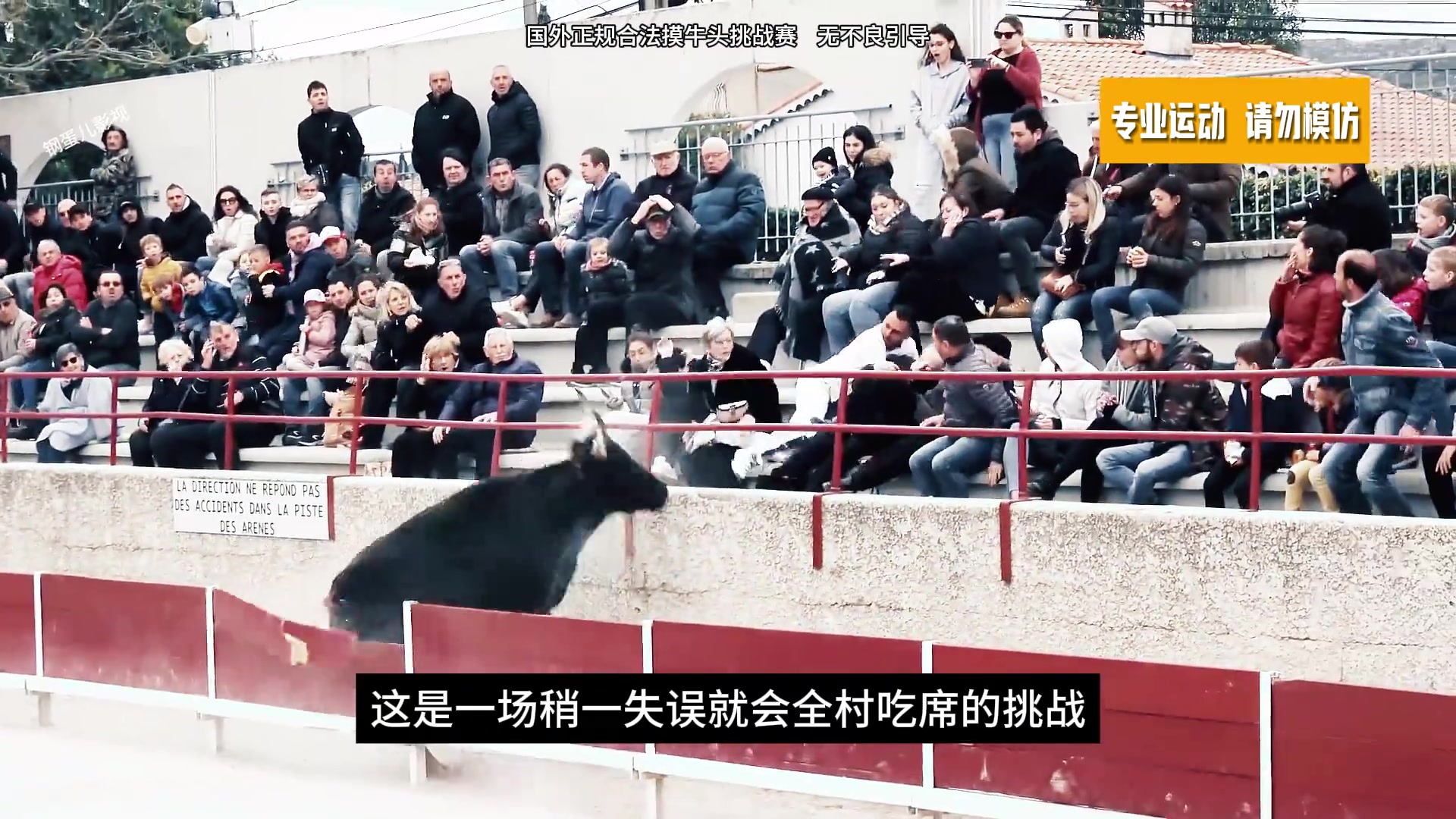 签下生死状的斗牛挑战！稍一失误，全村吃席