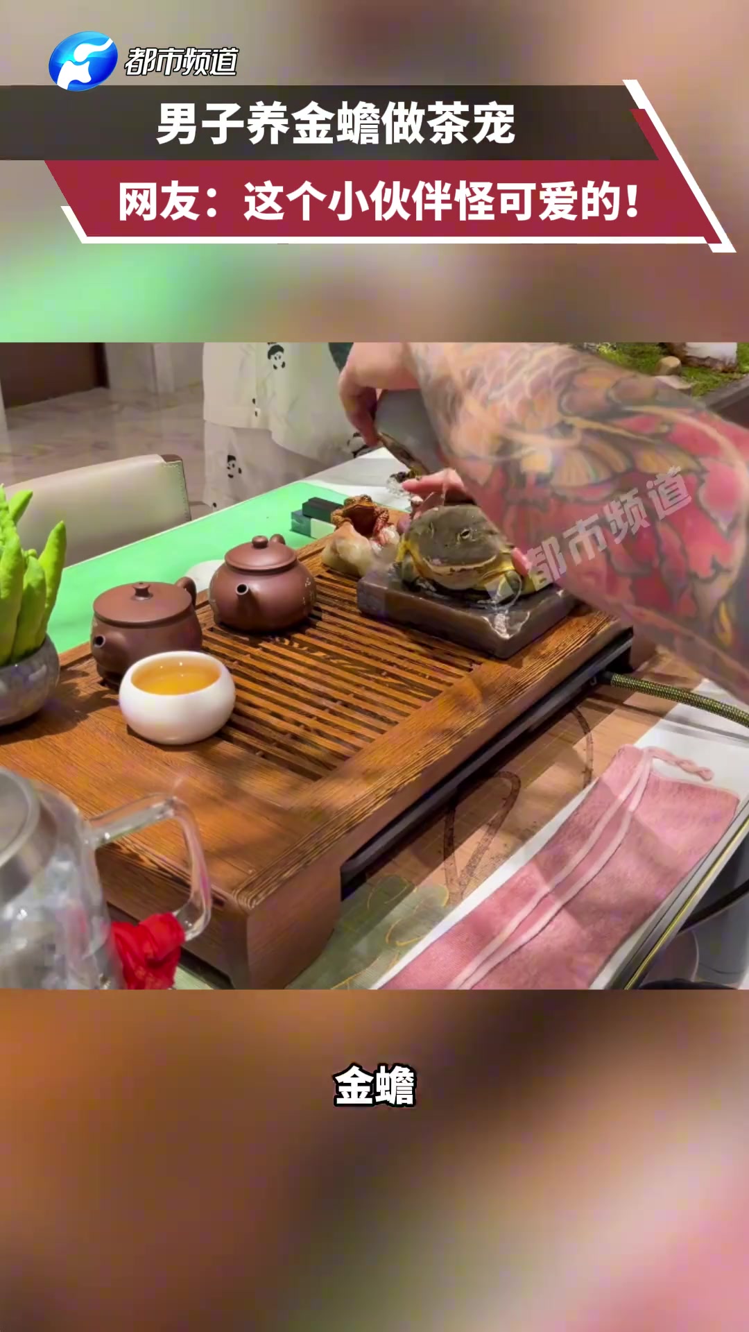 兄弟，这东西真不觉得瘆人吗