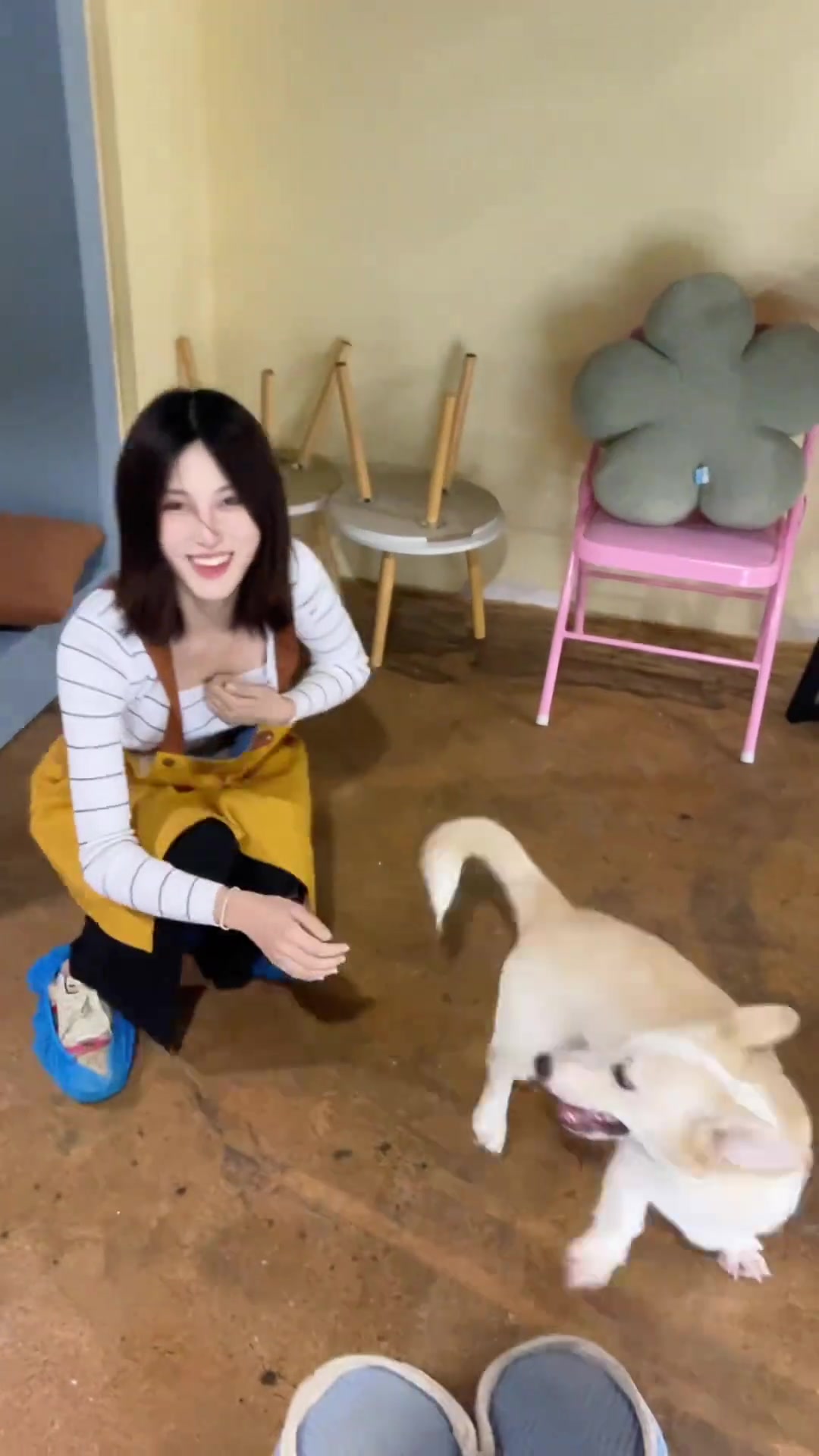 狗子真调皮！差点把小姐姐衣服抓脱
