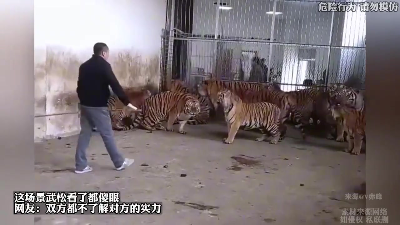 这场景武松看了都傻眼