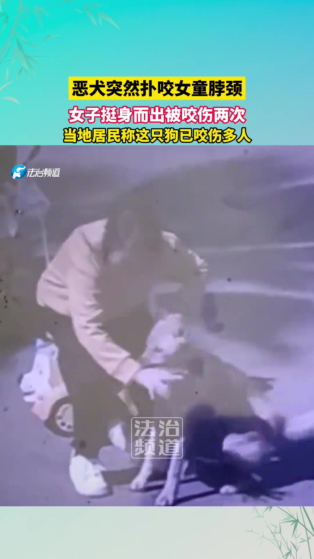 恶犬突然扑咬女童脖颈，女子挺身而出被咬伤两次！
