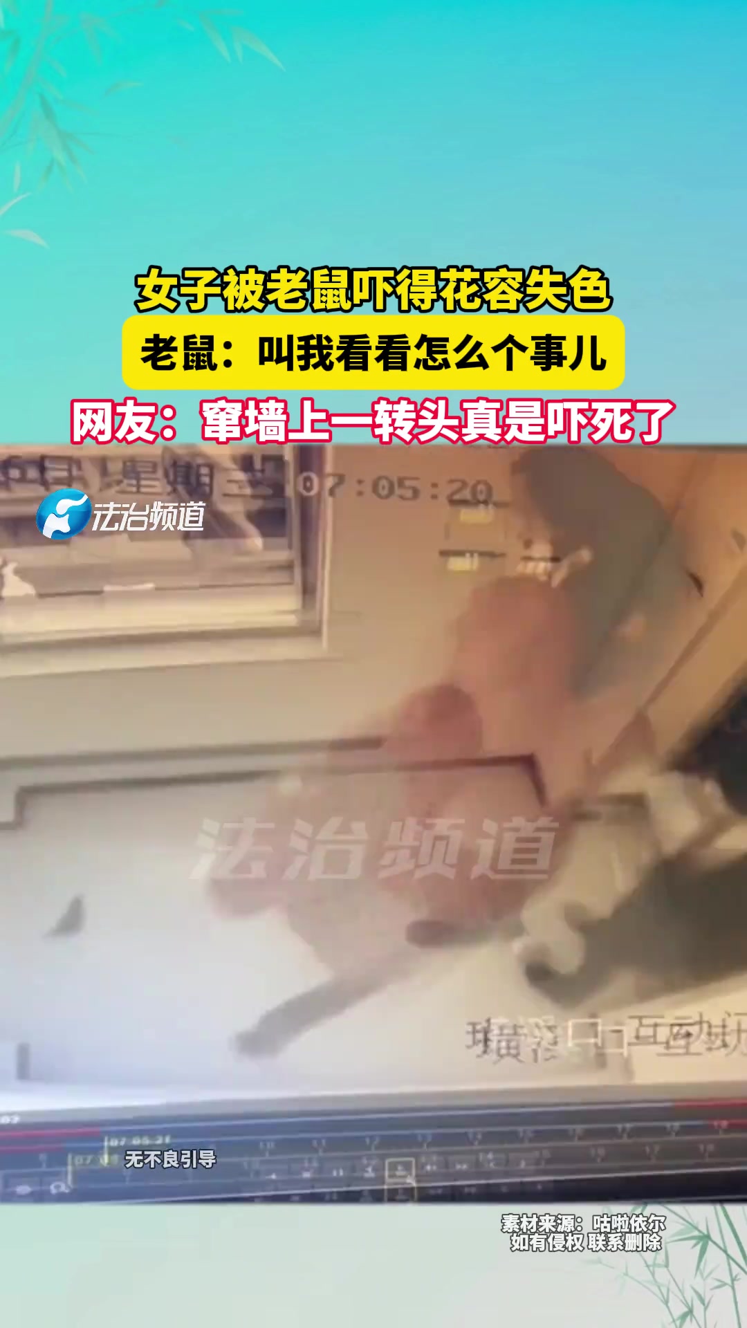 女子被老鼠吓得花容失色，老鼠叫我看看怎么个事儿