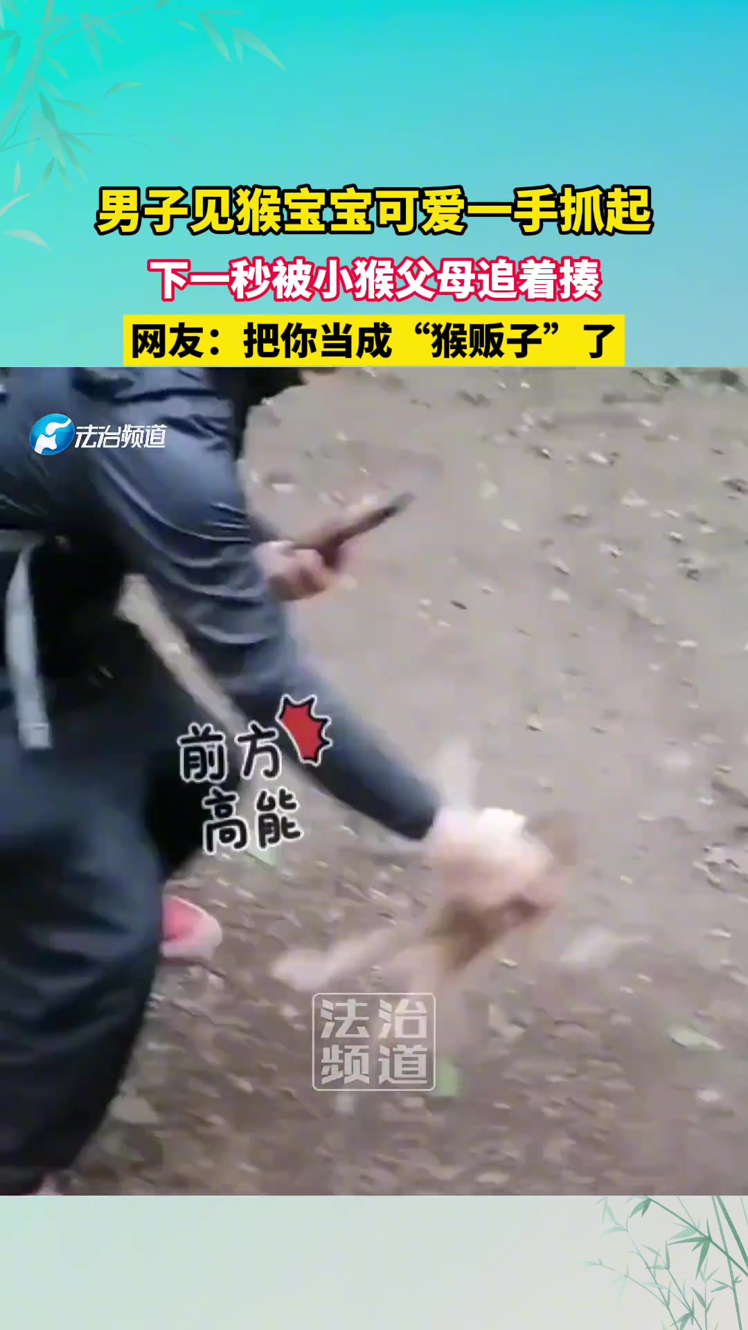 男子见猴宝宝可爱一手抓起，下一秒被小猴父母追着揍