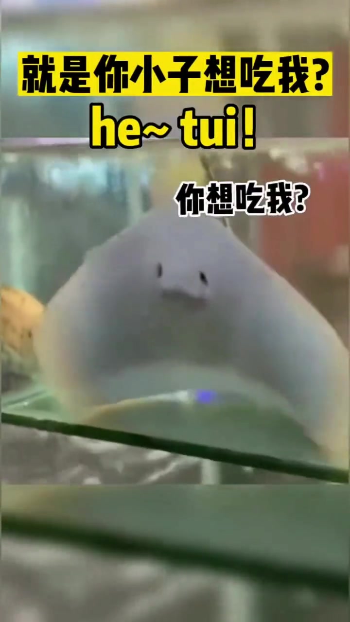 就是你小子想吃我hetui！
