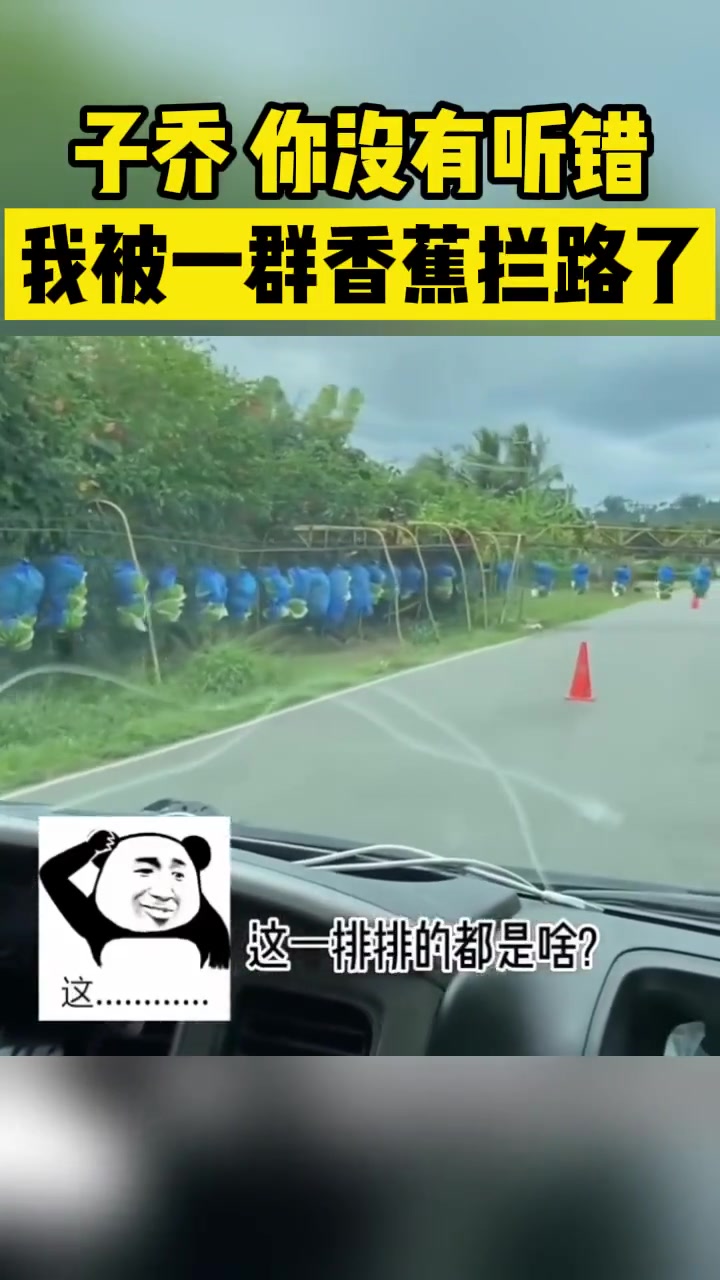子乔你没有听错我被一群香蕉拦路了