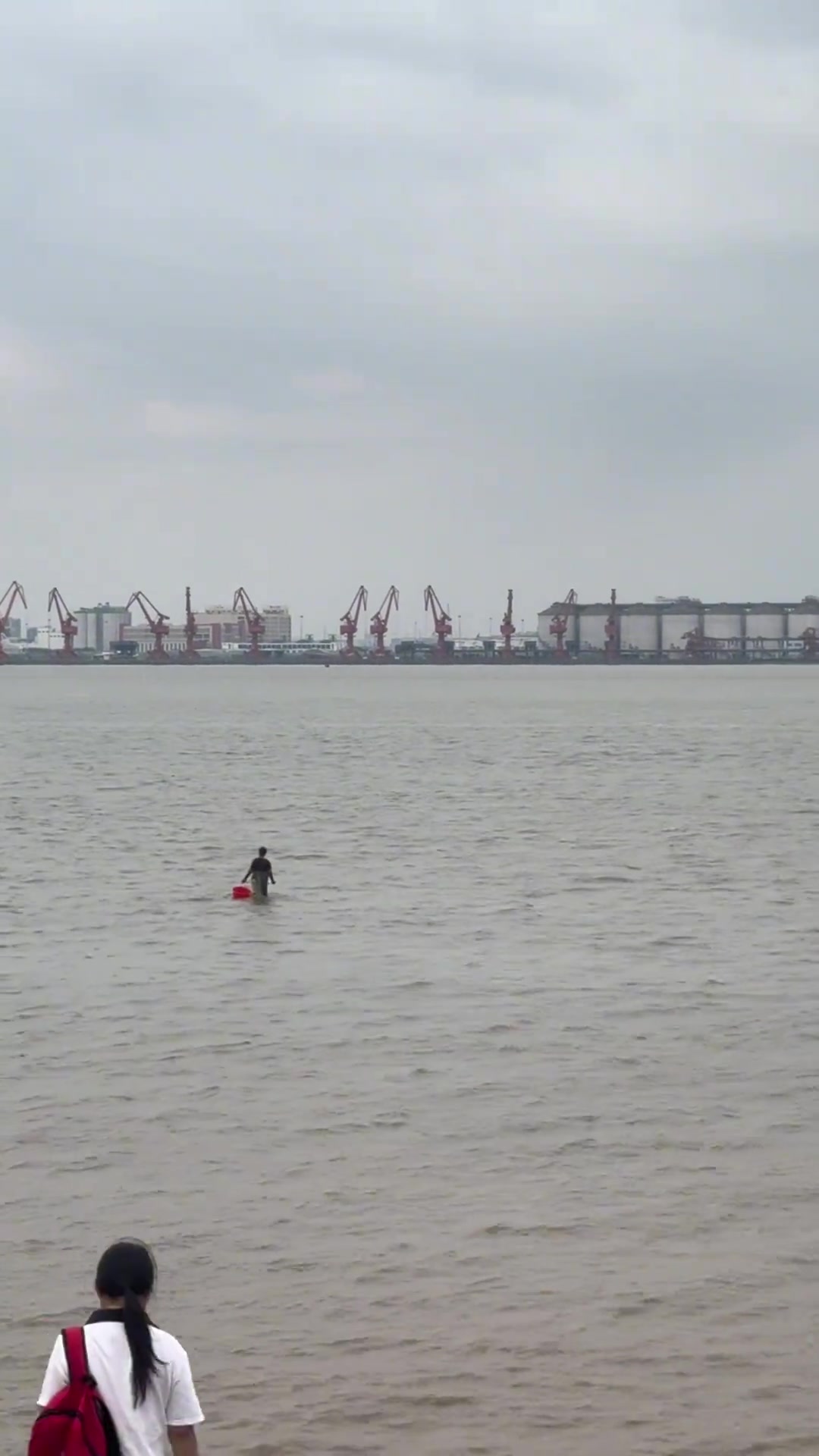 原来海鸥岛的海水那么浅，人都走到中间了也没淹到膝盖！
