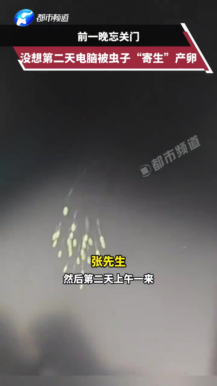 电脑也能寄生男子忘关门隔天电脑被虫子寄生产卵