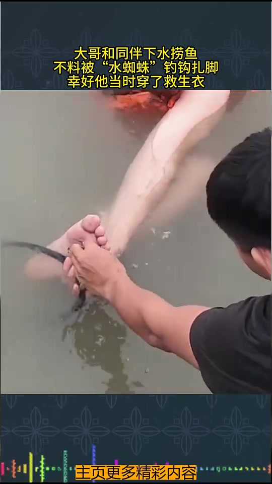 看着都痛！大哥和同伴下水捞鱼，不料被“水蜘蛛”钓钩扎脚