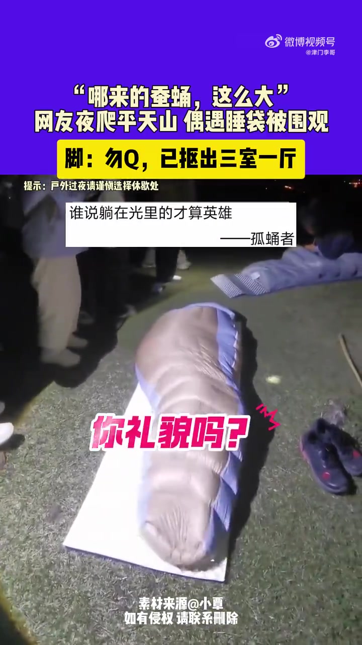 《哪来的蚕蛹，这么大》