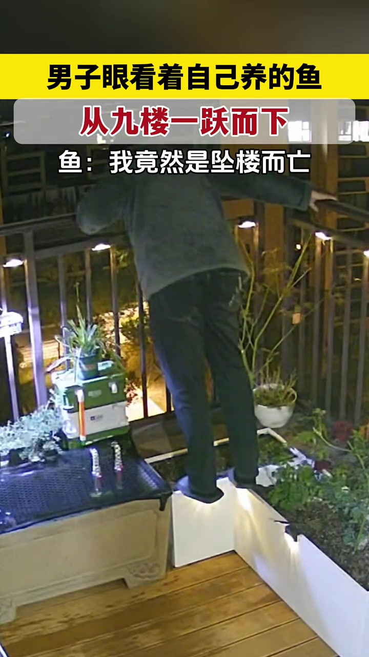 男子做梦也没想到自己养的鱼竟然是坠楼死的！算高空抛物吗