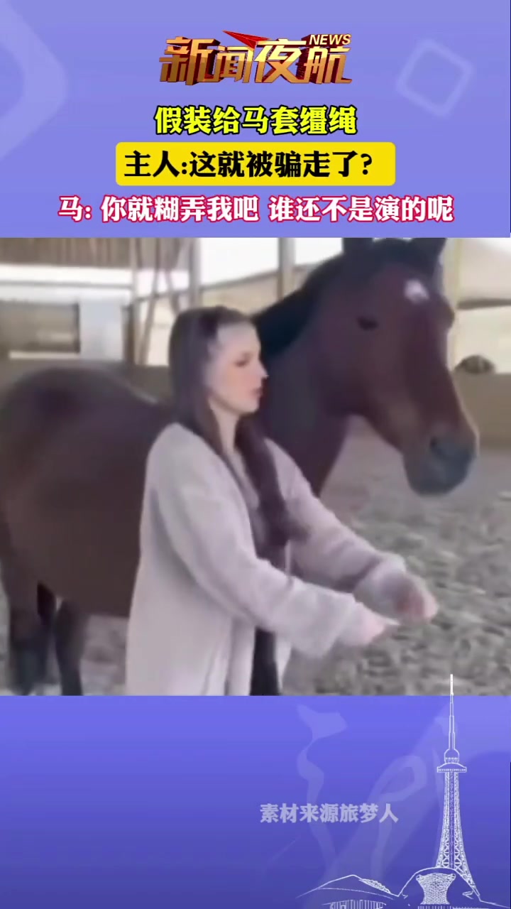 女子假装给马套缰绳，主人：这就被骗走了