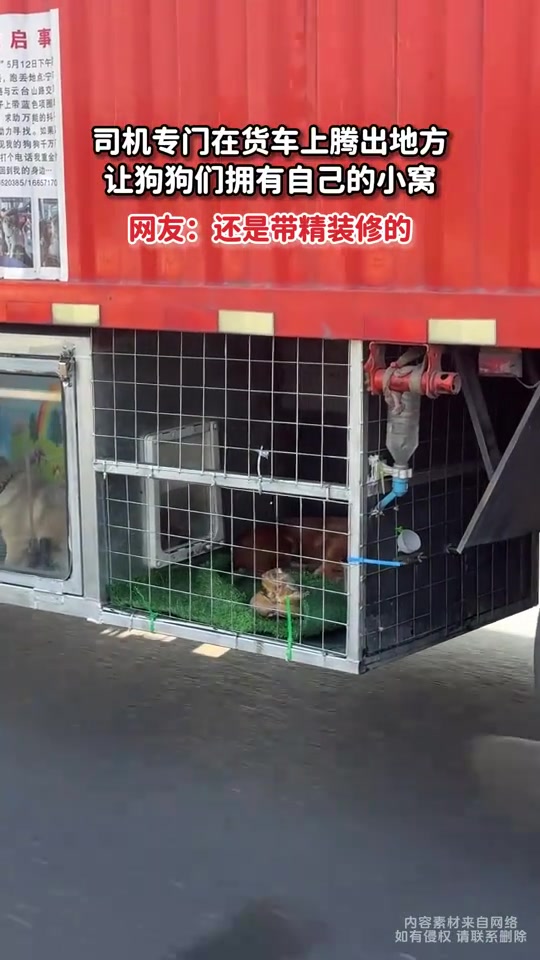 司机专门在货车上腾出地方，让狗狗们拥有自己的小窝