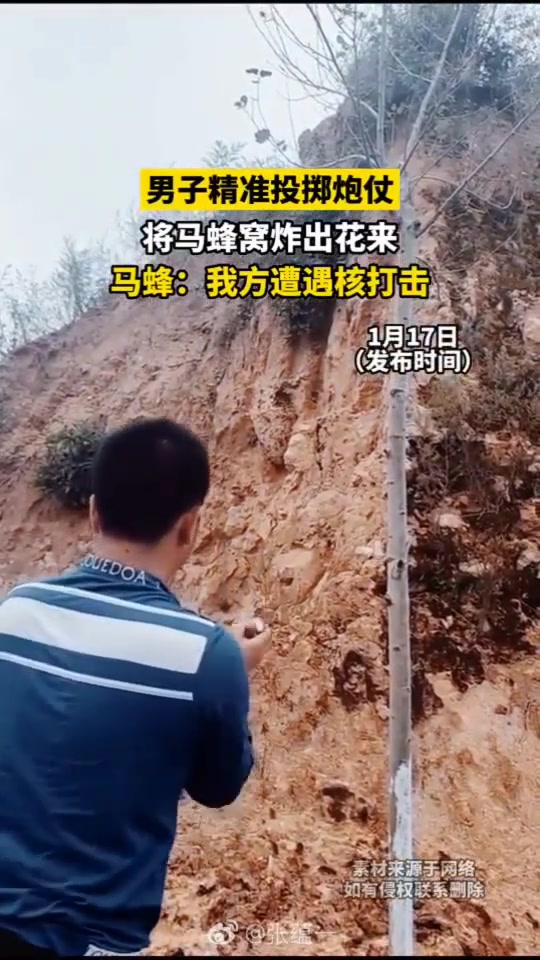 男子精准投掷炮仗，将马蜂窝炸出花来