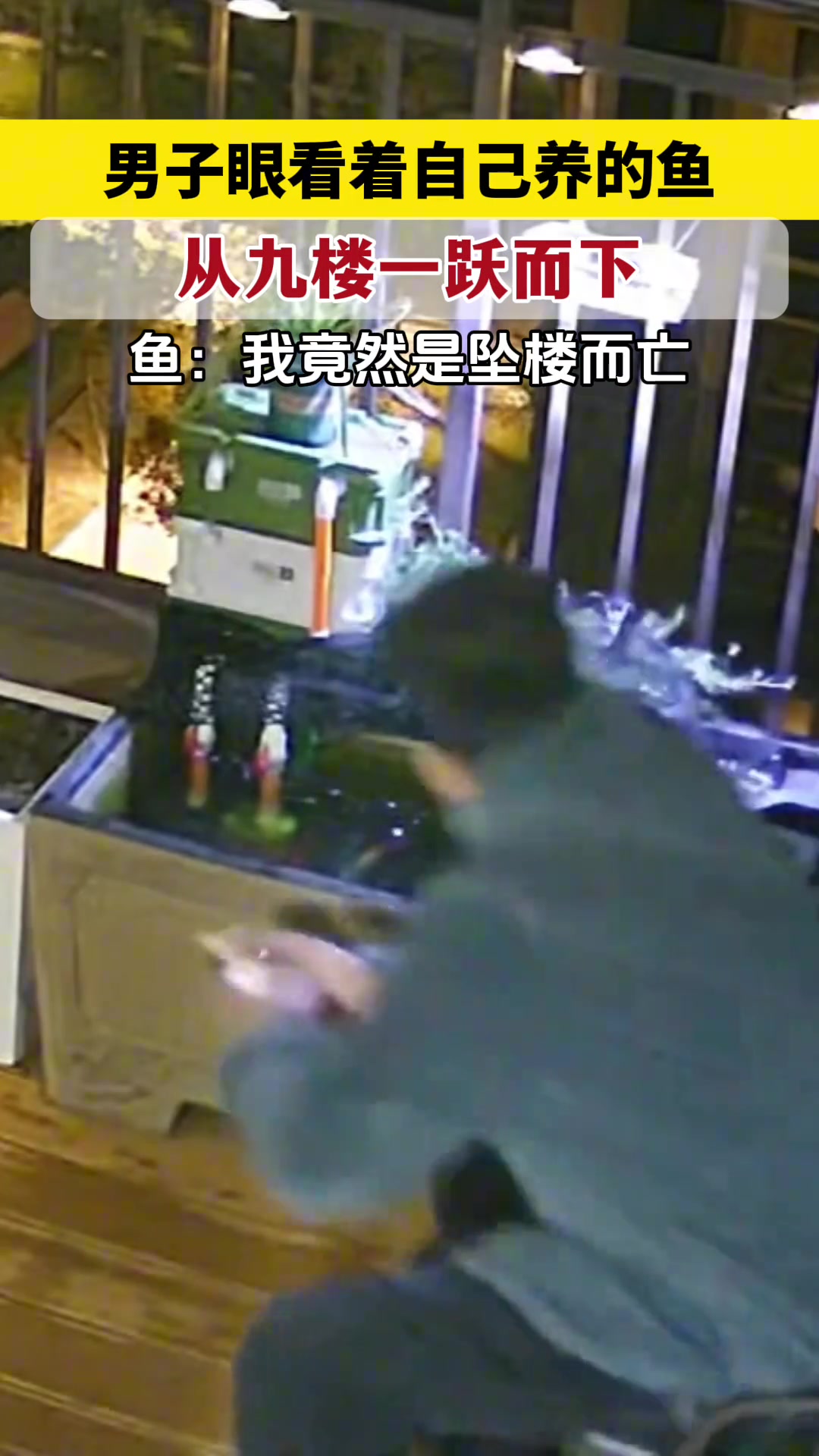 男子眼看着自己养的鱼从九楼一跃而下