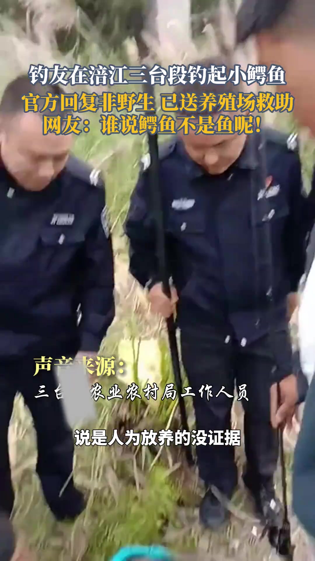 钓友钓鱼钓到一条小鳄鱼