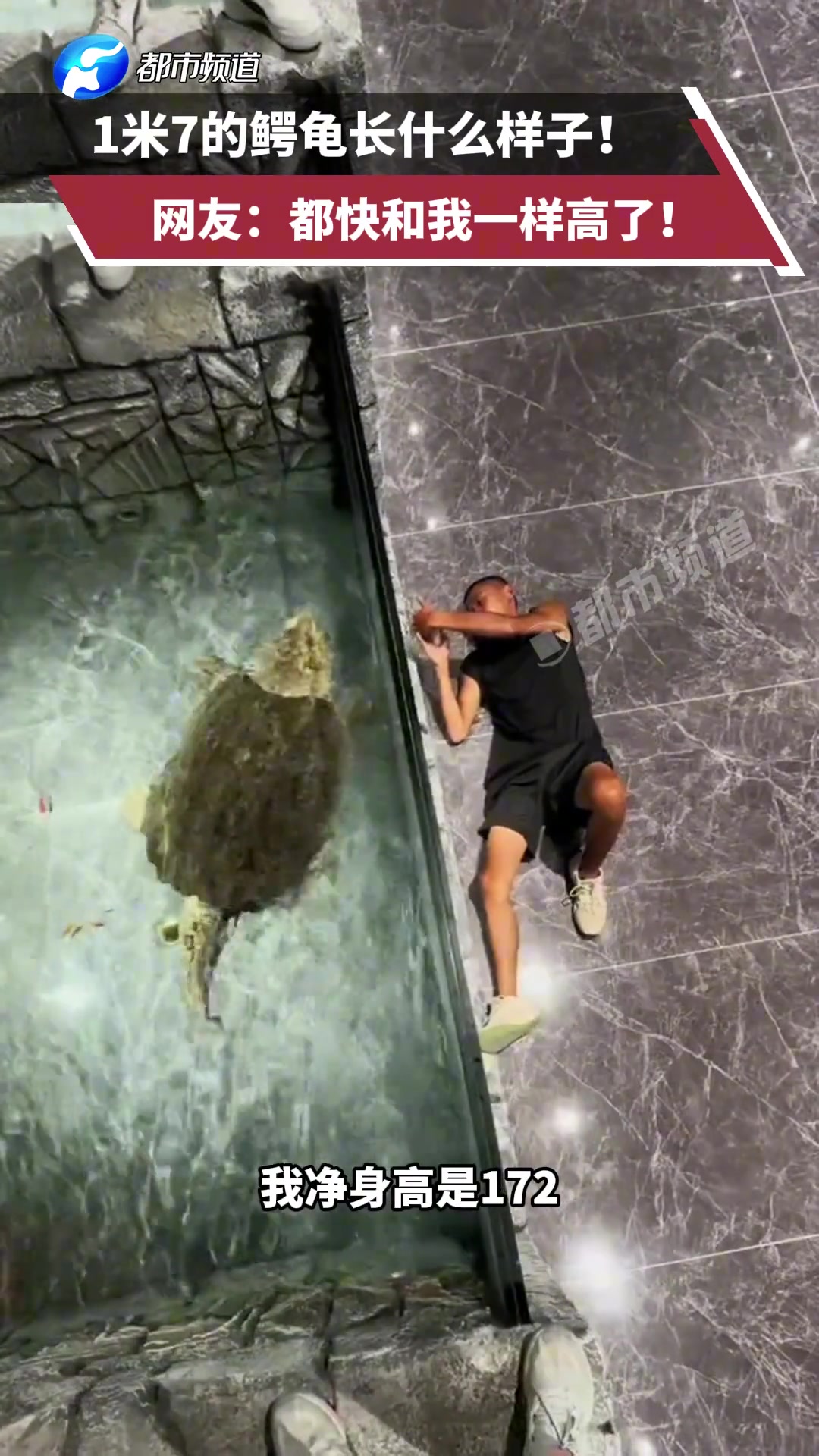 男子正在钓鱼，刚准备坐下，不料脚下一滑载进水里